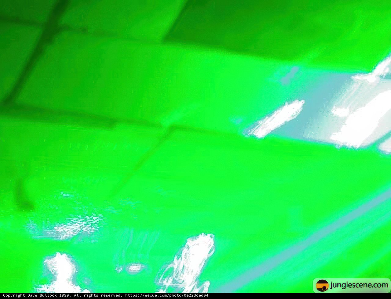 Electrifying Laser Light Show