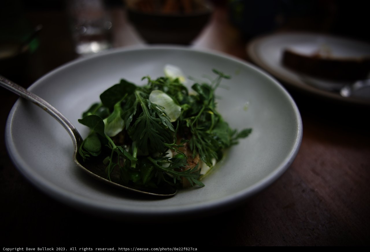 A Refreshing Bowl of Greens at Charter Oak Potluck