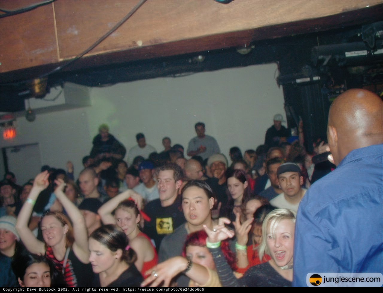 Nightclub Musician Rocks the House