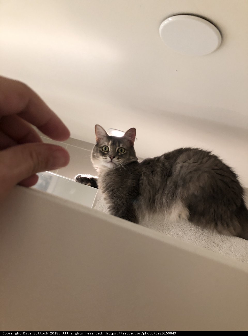 Bathroom Buddy