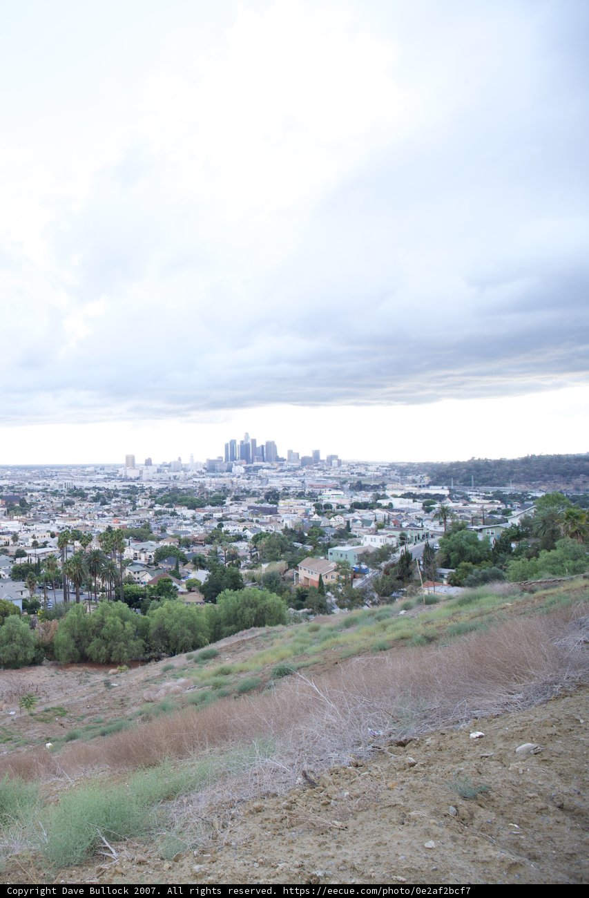 Overlooking the Urban Jungle