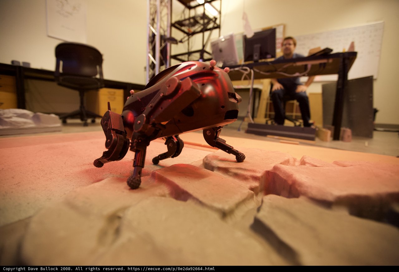 Robot Dog on the Prowl