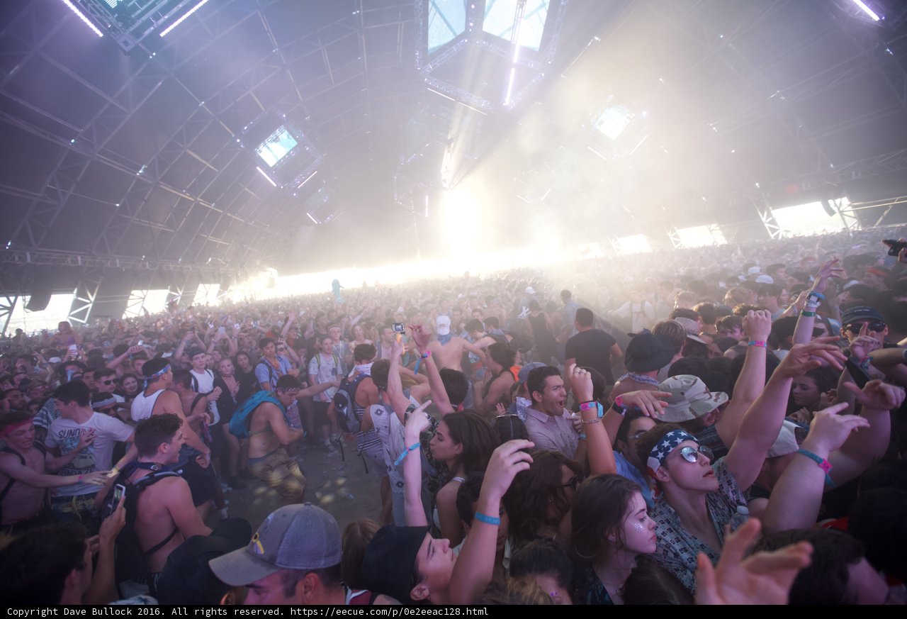 The Electric Crowd at Coachella 2016