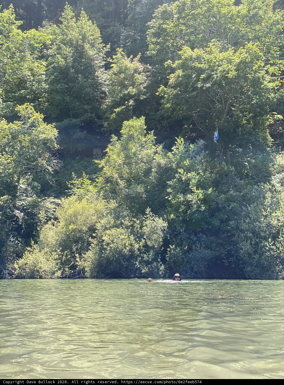 Rafting Adventure on the Russian River