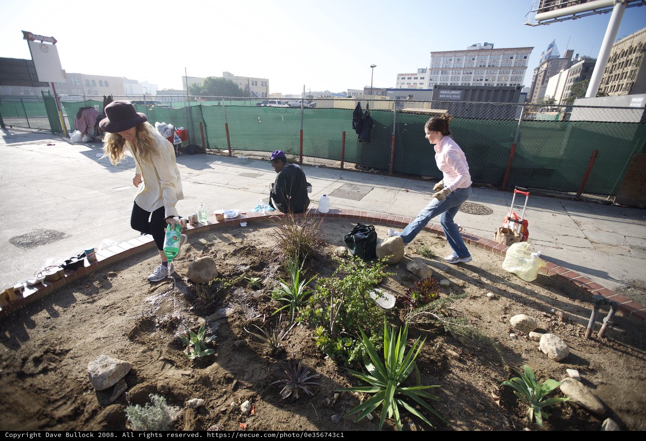 Urban Guerrilla Gardeners Transform City Sidewalk Plot