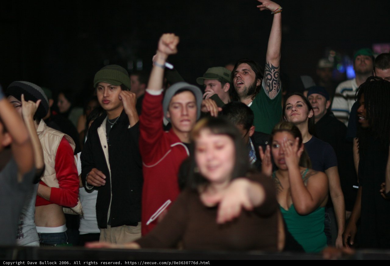 Crowd goes wild at 2006 concert