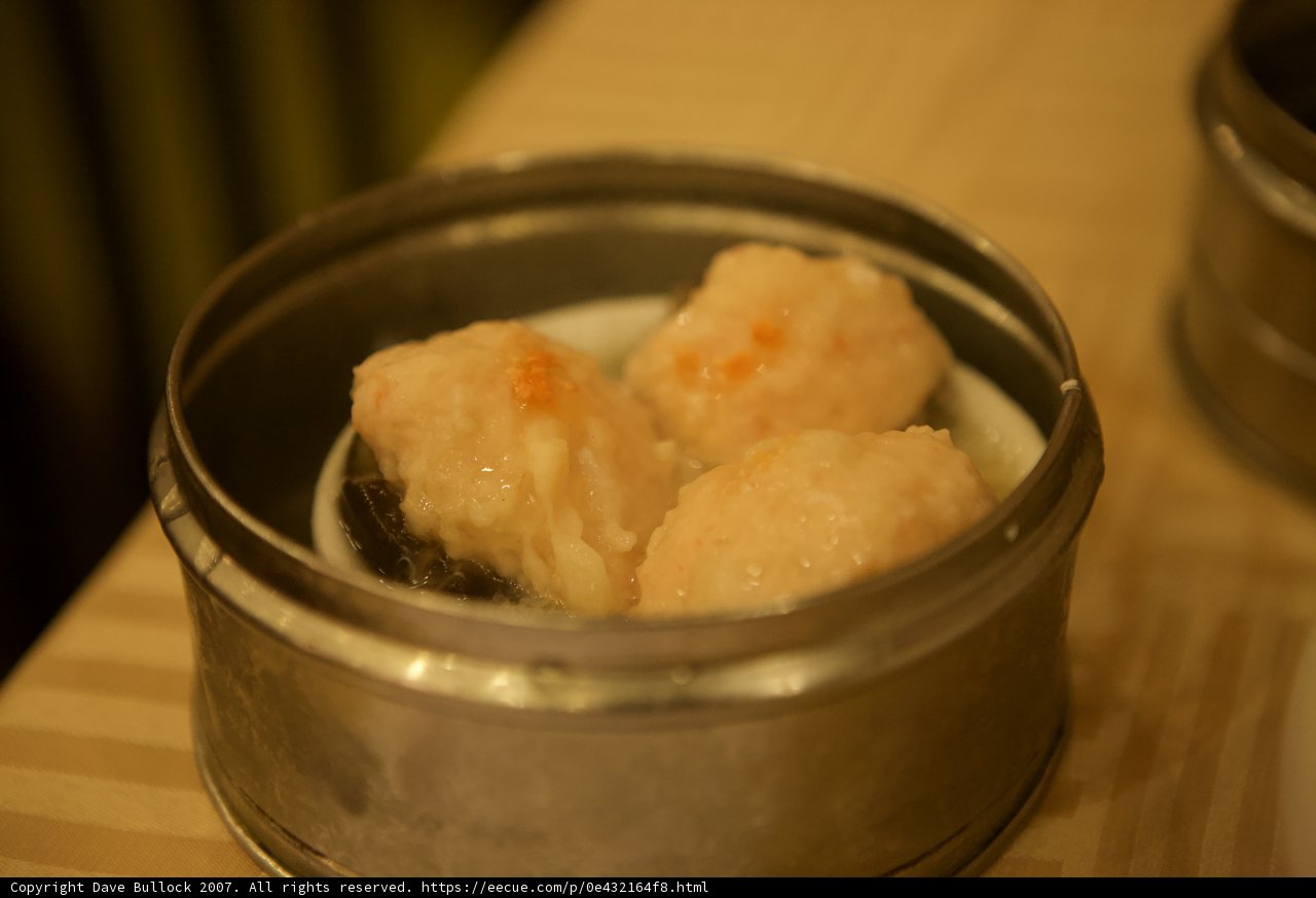 Delicious Dumplings on the Go