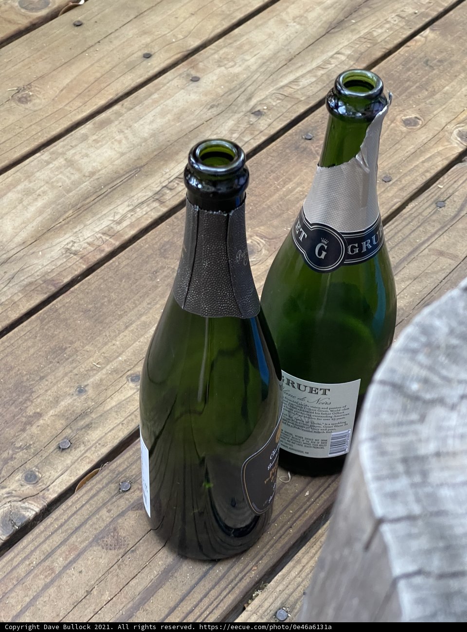Champagne Cheers in the Forest