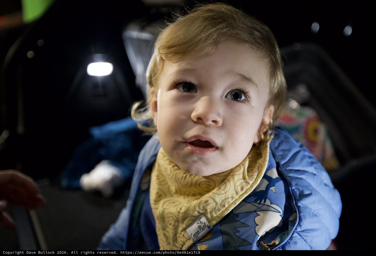 Curious Toddler in Blue Jacket Looking Up