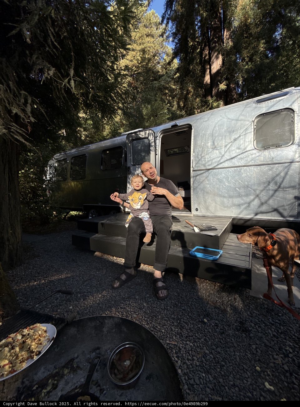Morning in the Redwood Retreat