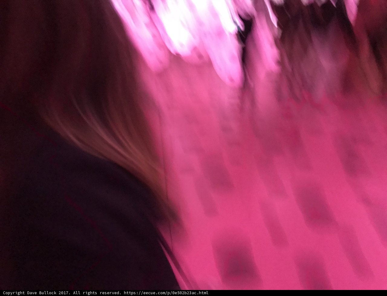 Blurred Beauty