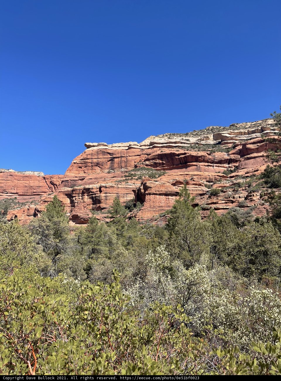 Red Rock Mesa in Coconino National Forest