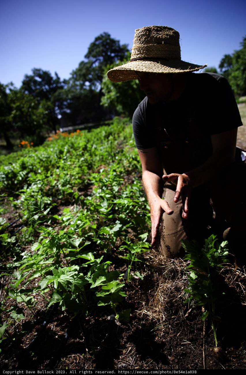 Embracing the Earth - A Regenerative Gardening Journey