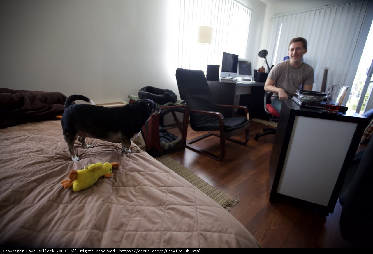 Man and his Furry Companion