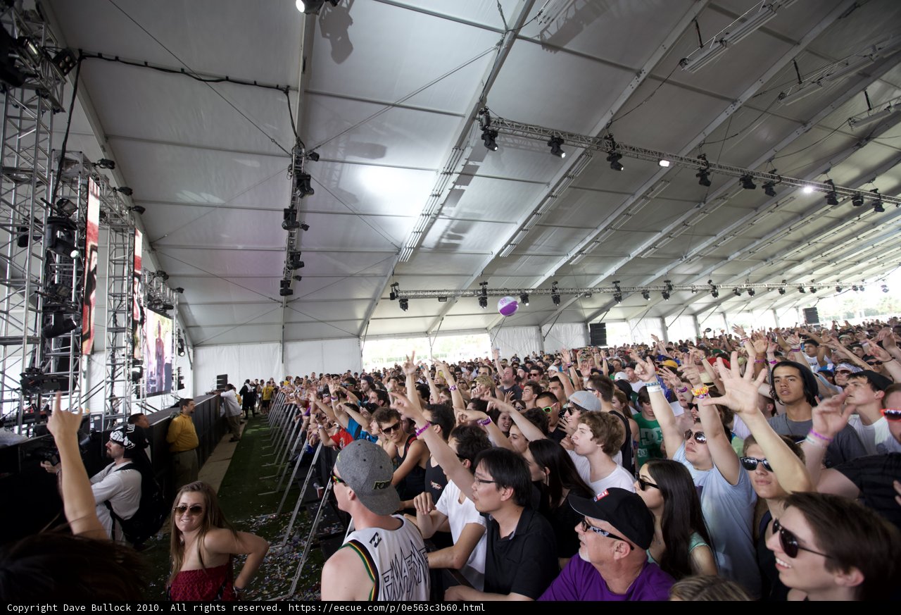Coachella's Electric Audience