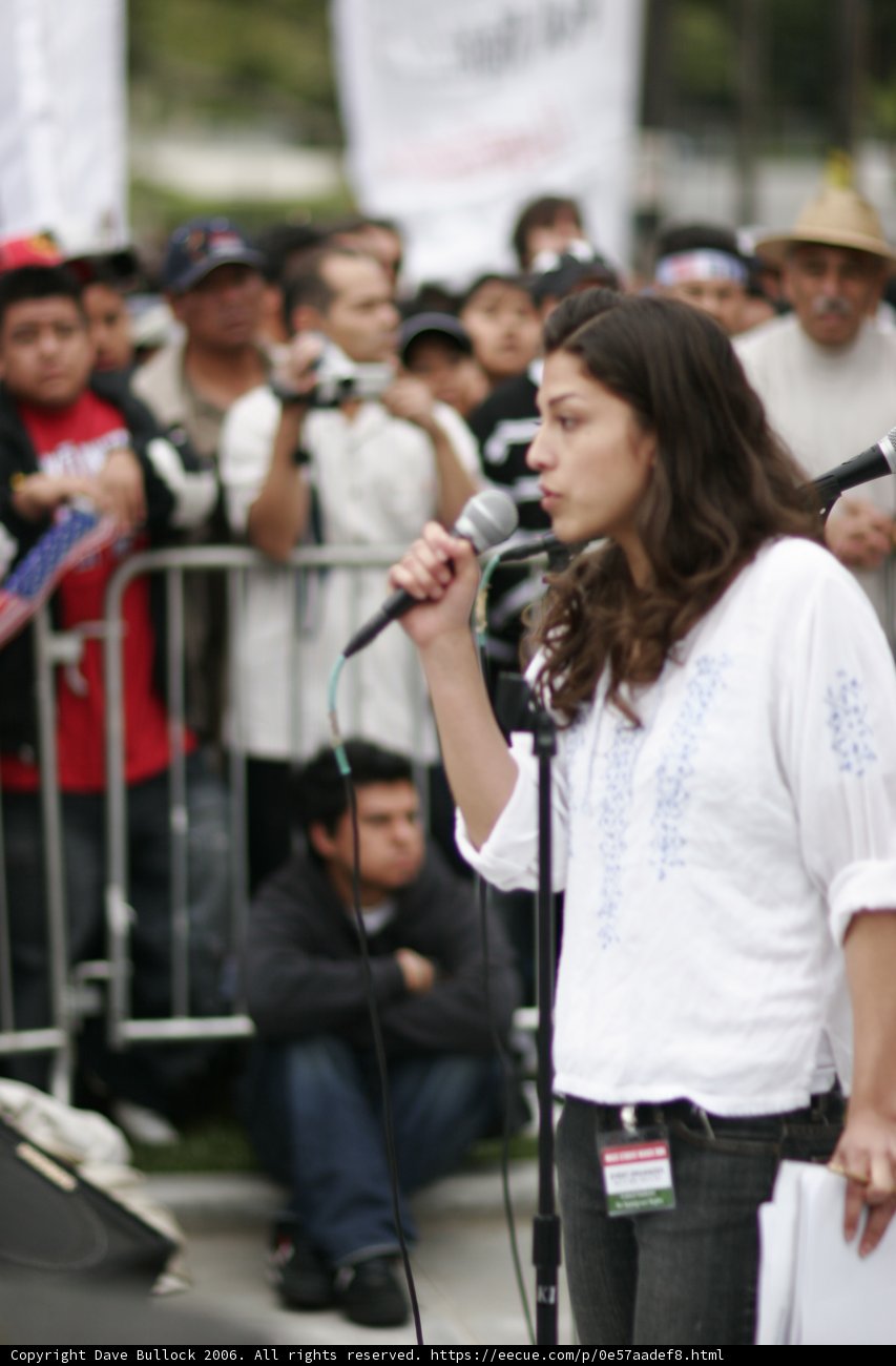 Protest Singer