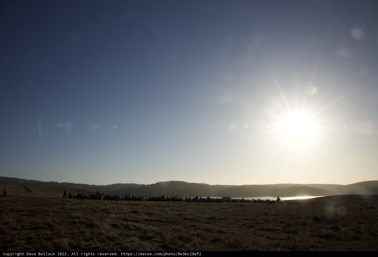 Gathering Light: A Morning in November