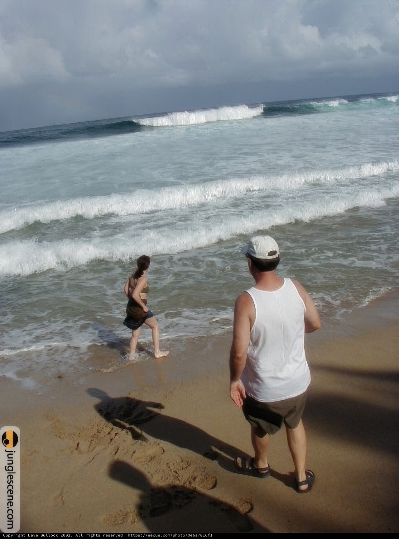 A Leisurely Stroll by the Shore