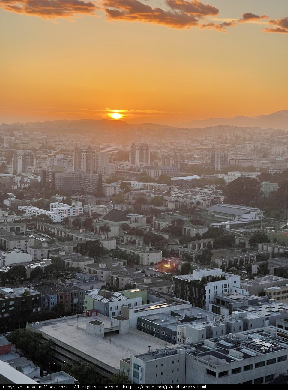 Golden Hour in the Urban Jungle
