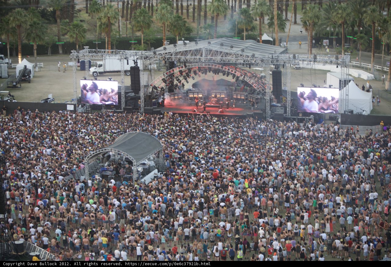 Jam-packed concert audience under towering palm trees