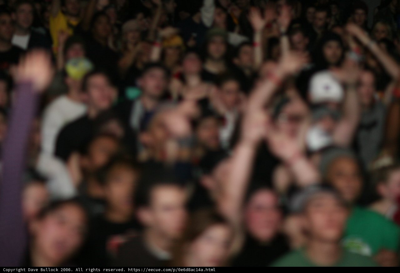 High Energy Crowd at Concert