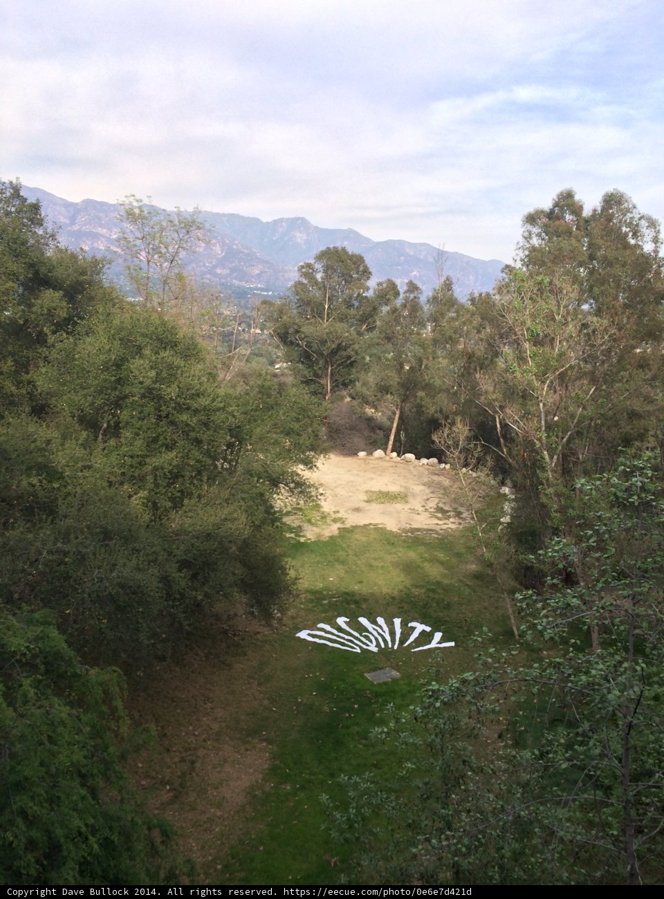 Serene Wilderness