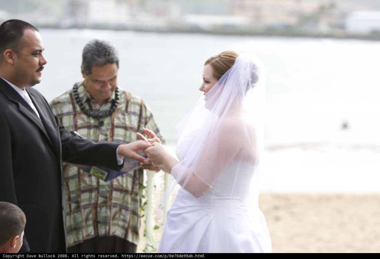 Beach Wedding Bliss