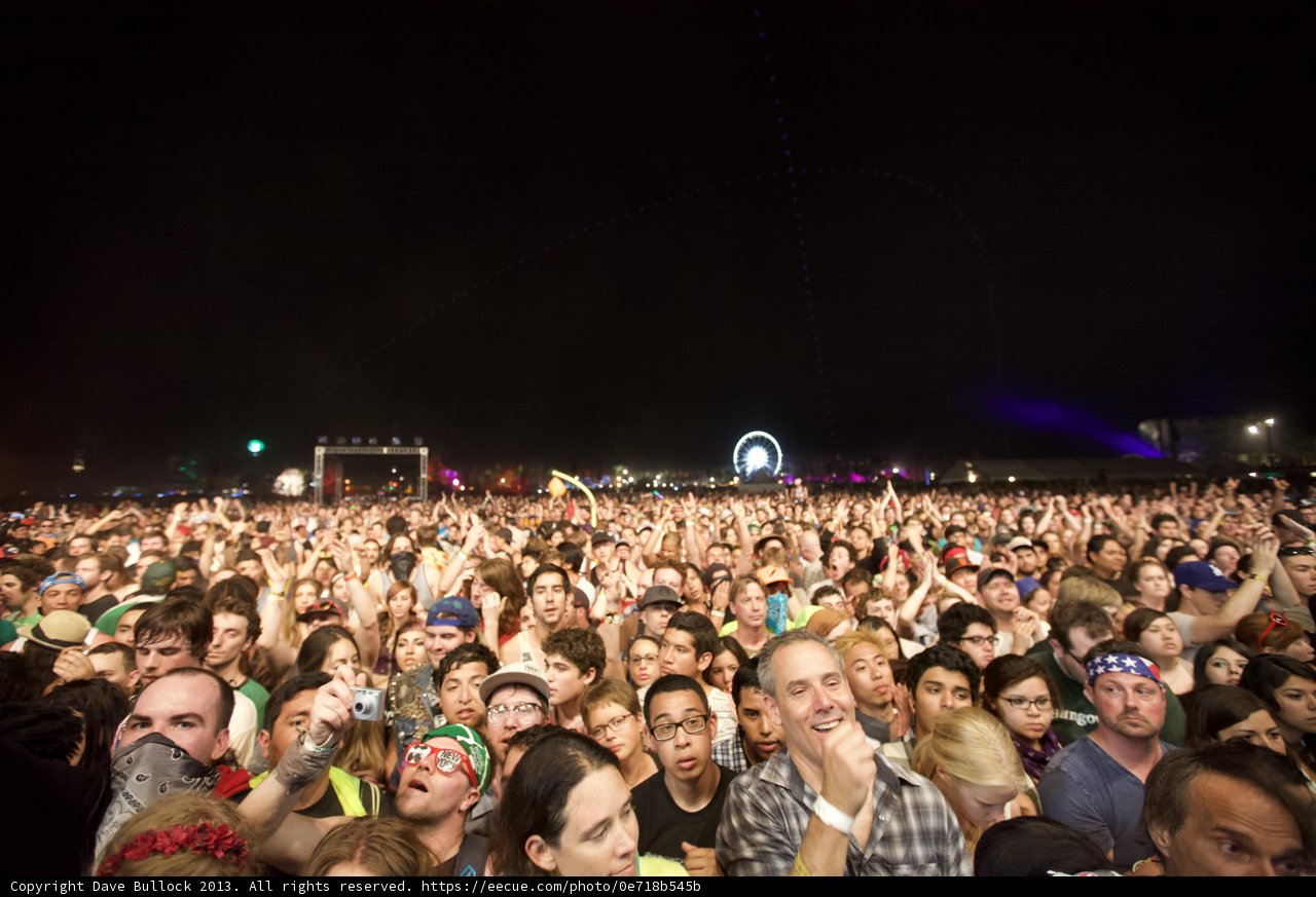 Concertgoers under the Night Sky
