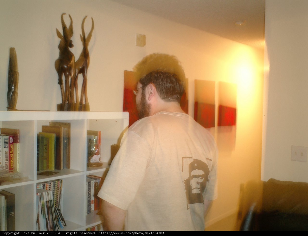 Man in His Library