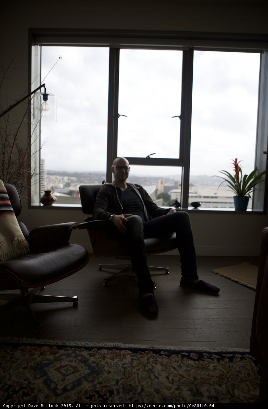 Living Room Portrait with City Views