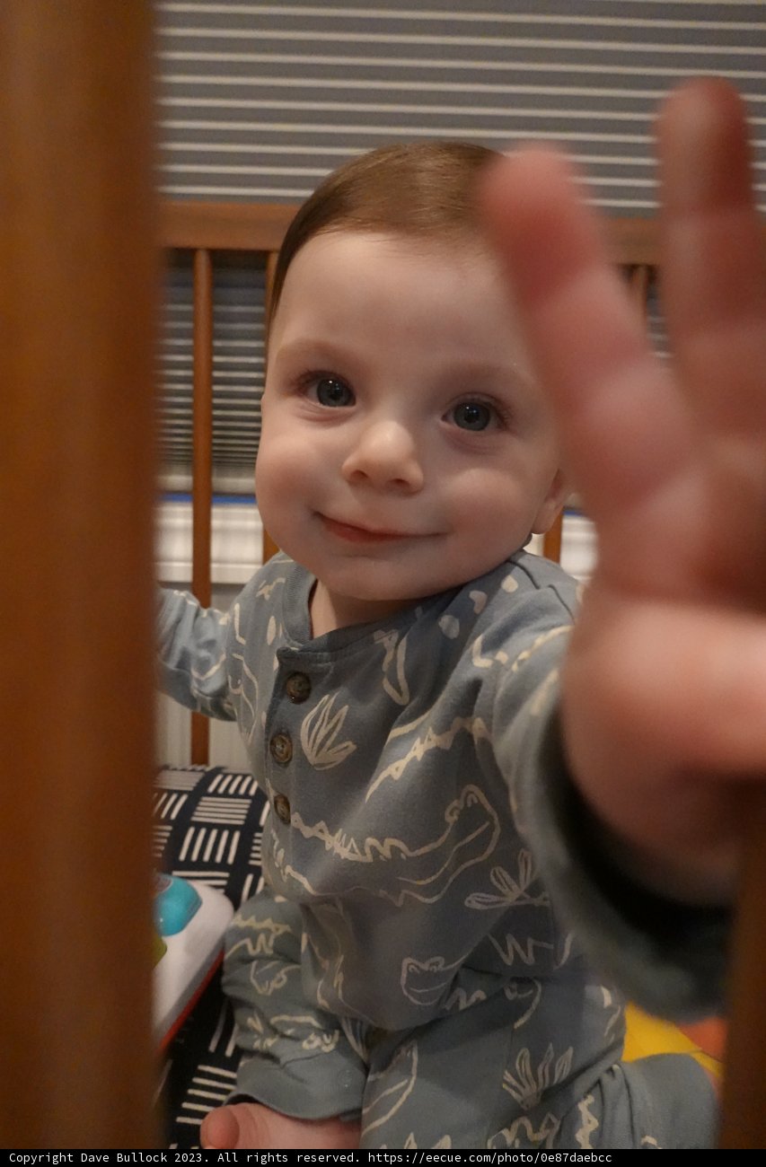Radiant Joy in Tiny Packages