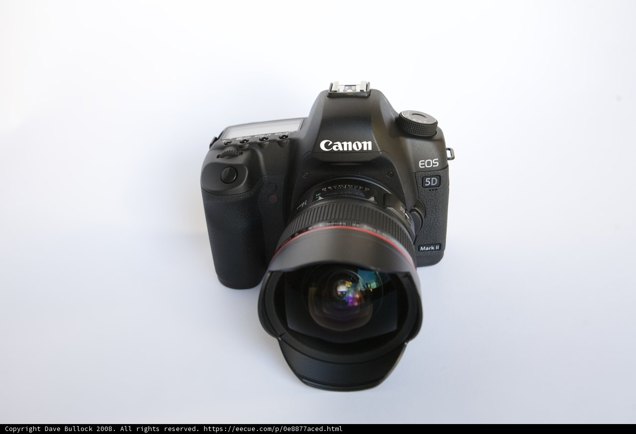 Canon EOS 5D Mark II in Action