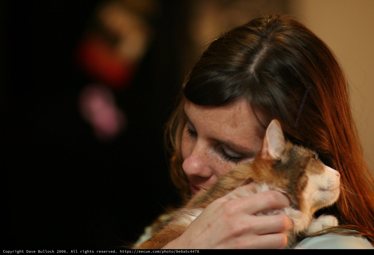 Woman Tenderly Embraces Orange Tabby Cat