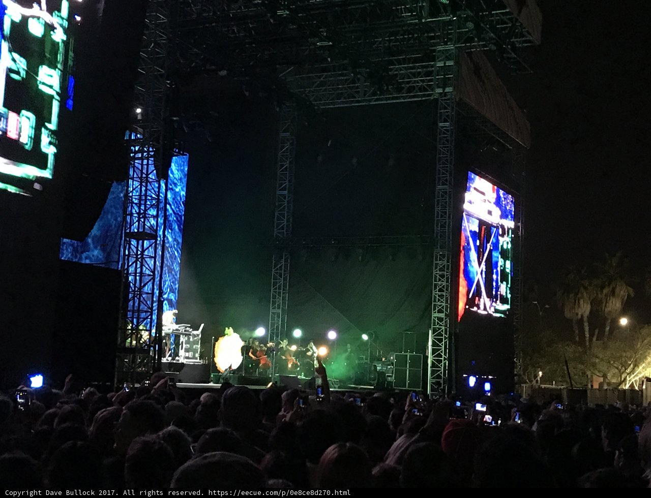 Rocking Under the Night Sky