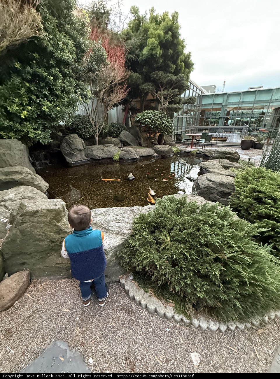 Child's Wonder: Exploring Nature's Oasis