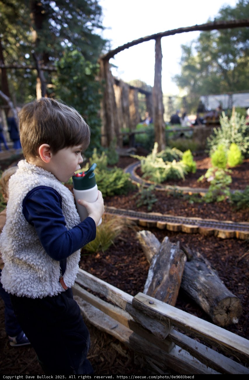 Exploring Thistlewyck's Gardens