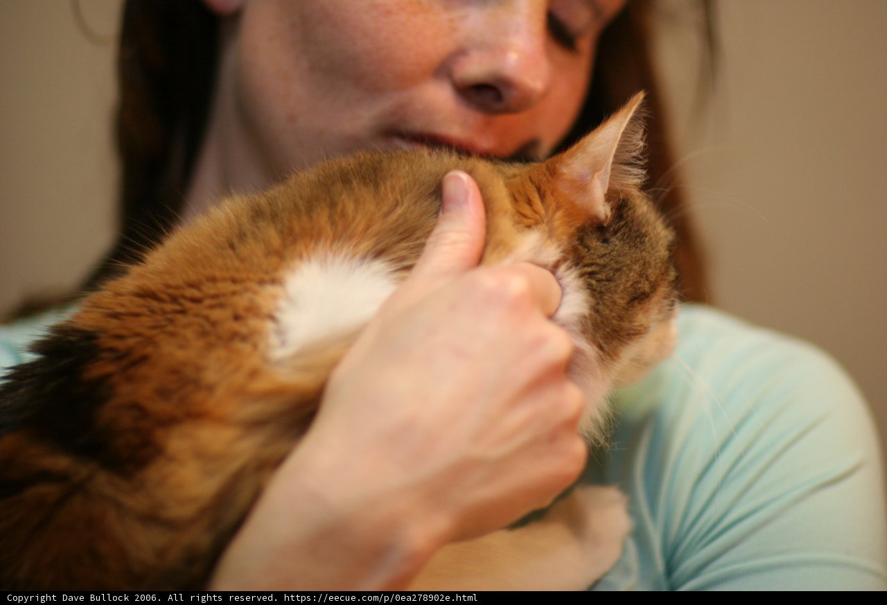 Woman and Cat Cuddle Time