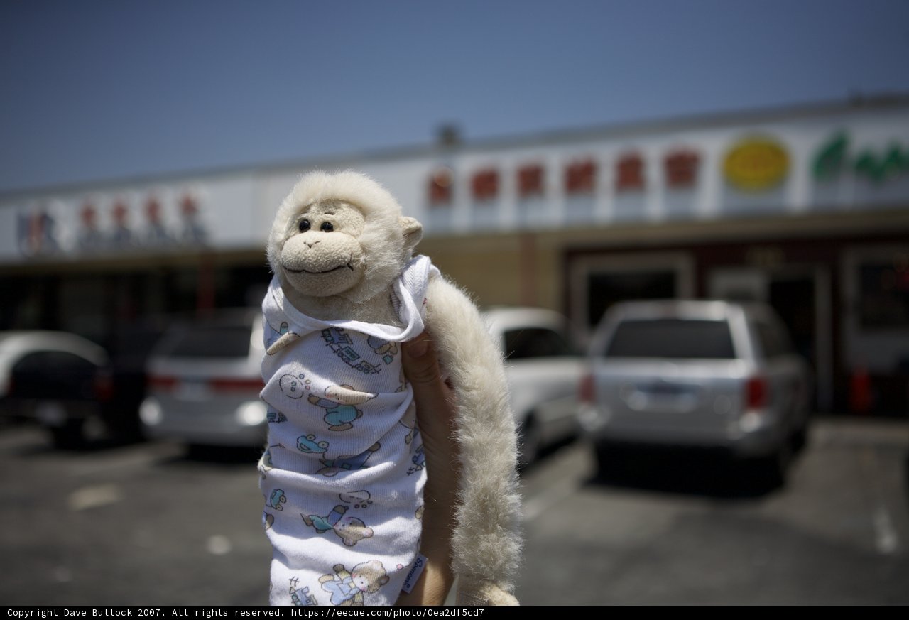 The Stuffed Monkey Takes a Stroll
