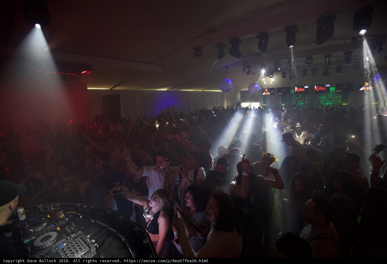 Nightlife Spotlight