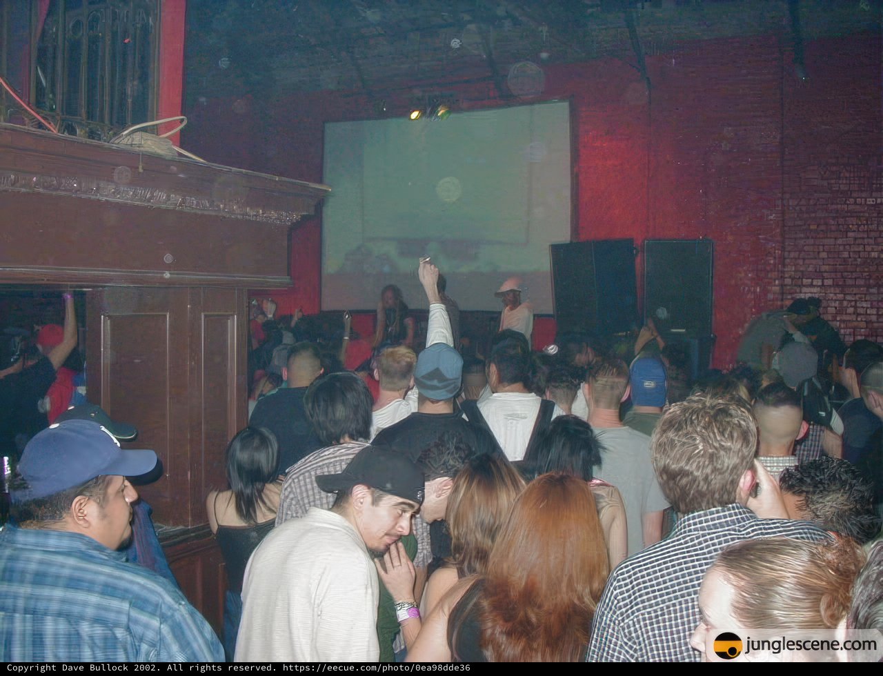 Crowd Gets Down to the Beat with Renee Taylor at Nightclub