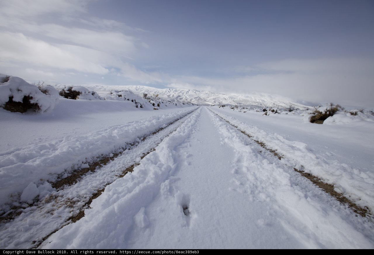 Winter Wonderland Drive