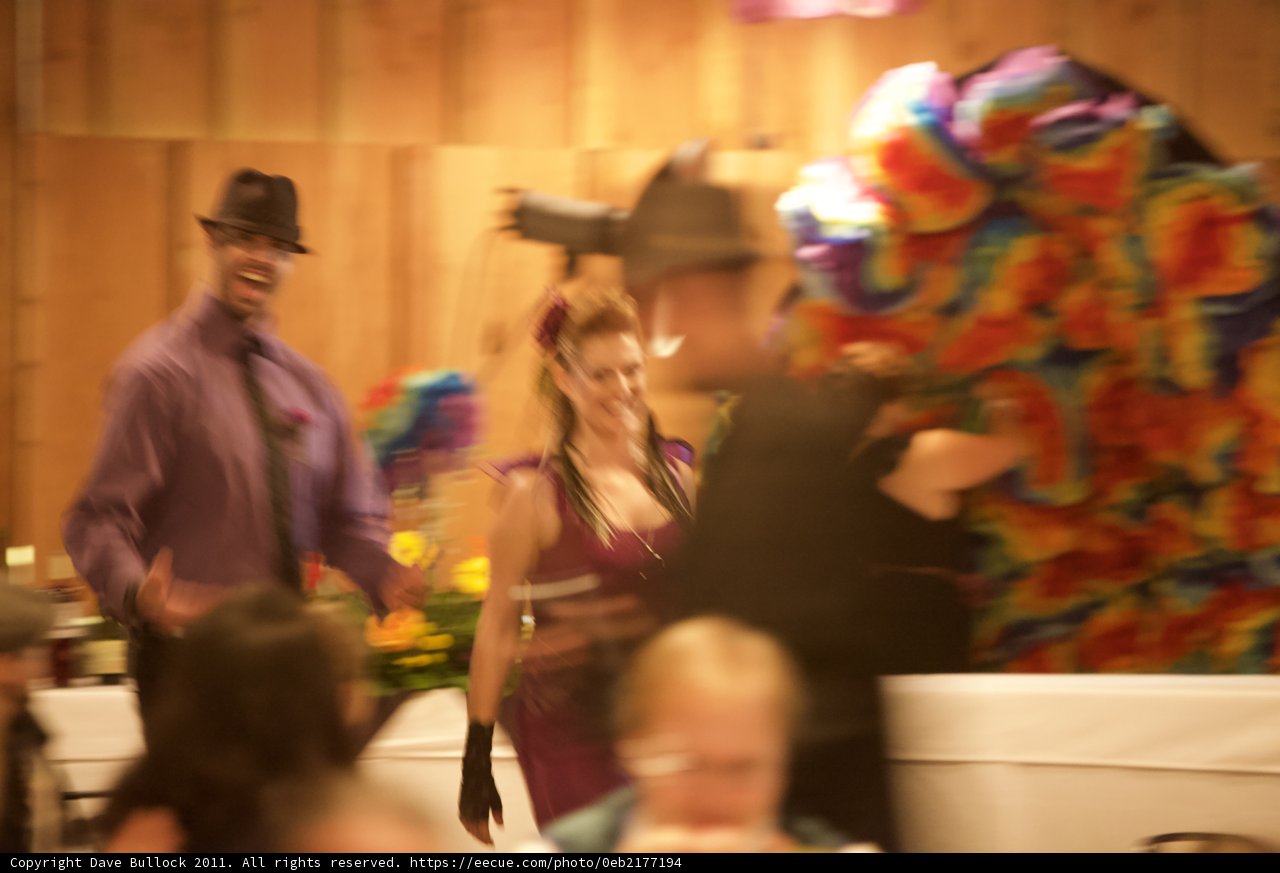 A Colorful Guest at the Wickstrom Wedding