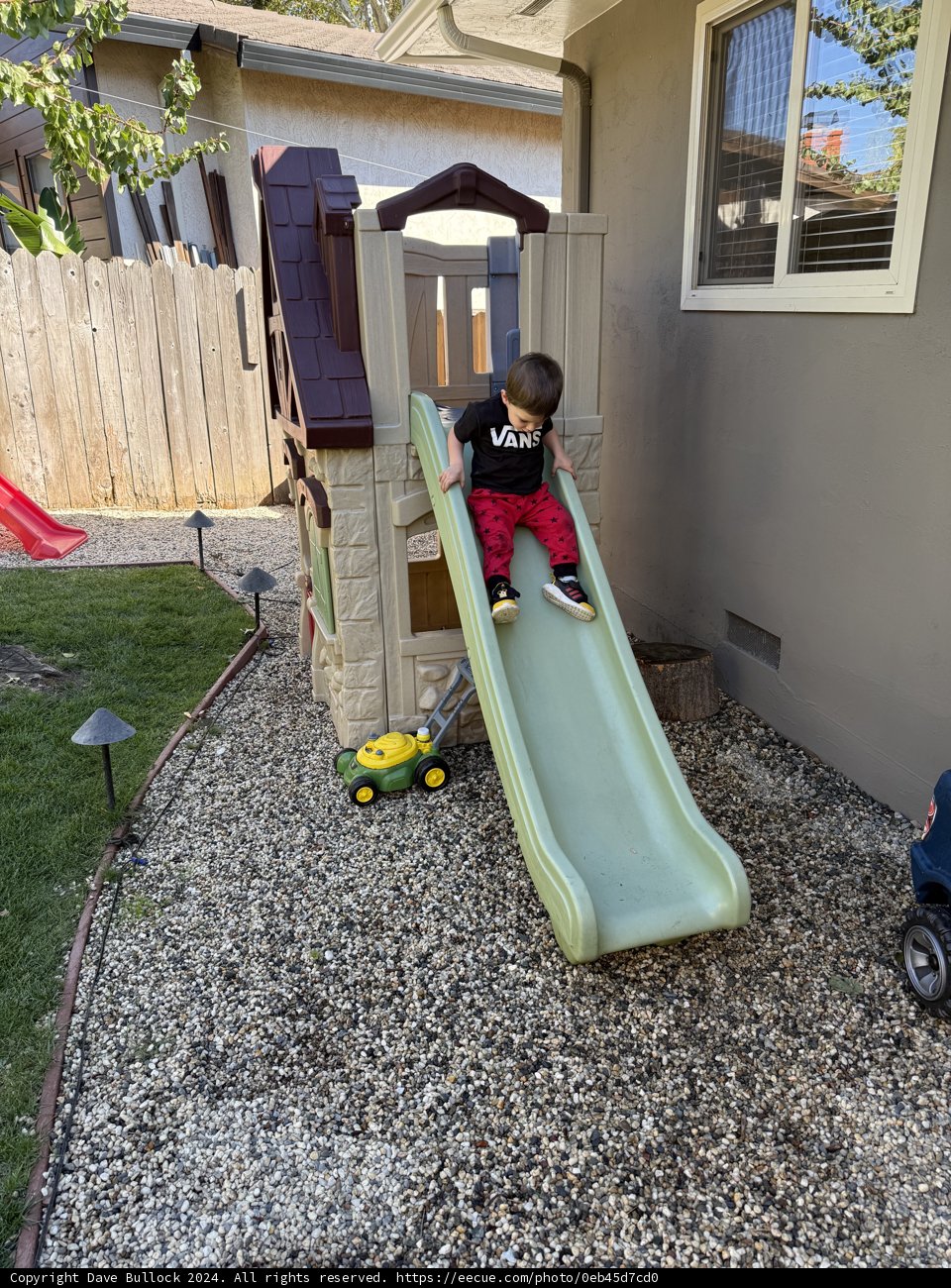 Backyard Adventures