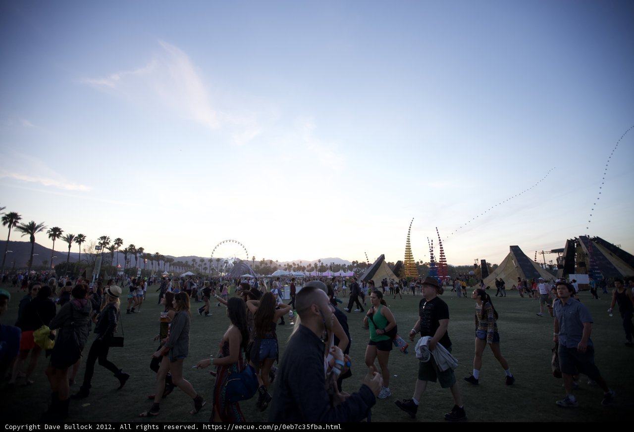 Festival Nightlife
