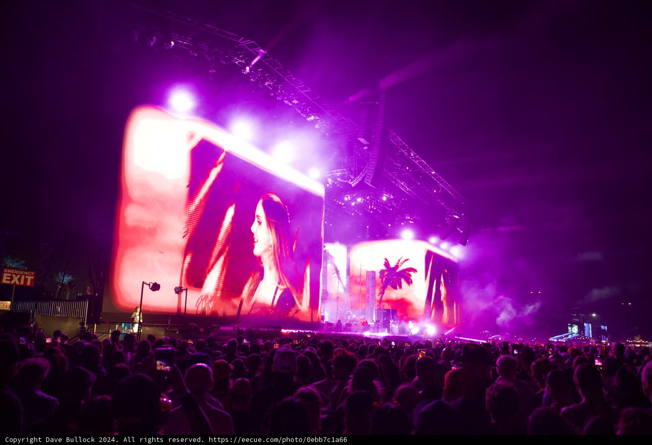 Electric Nights at Coachella 2024