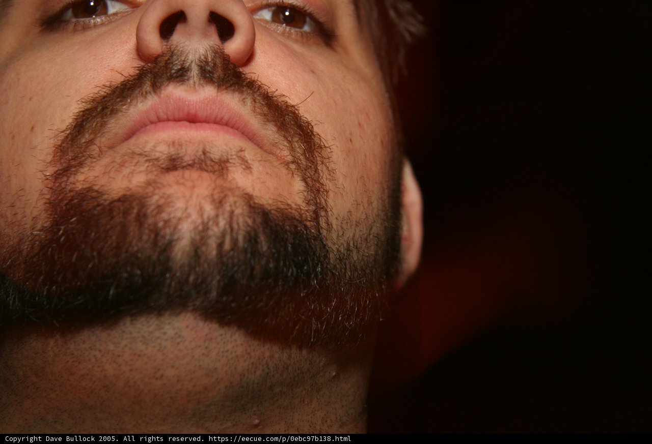 Bearded Man