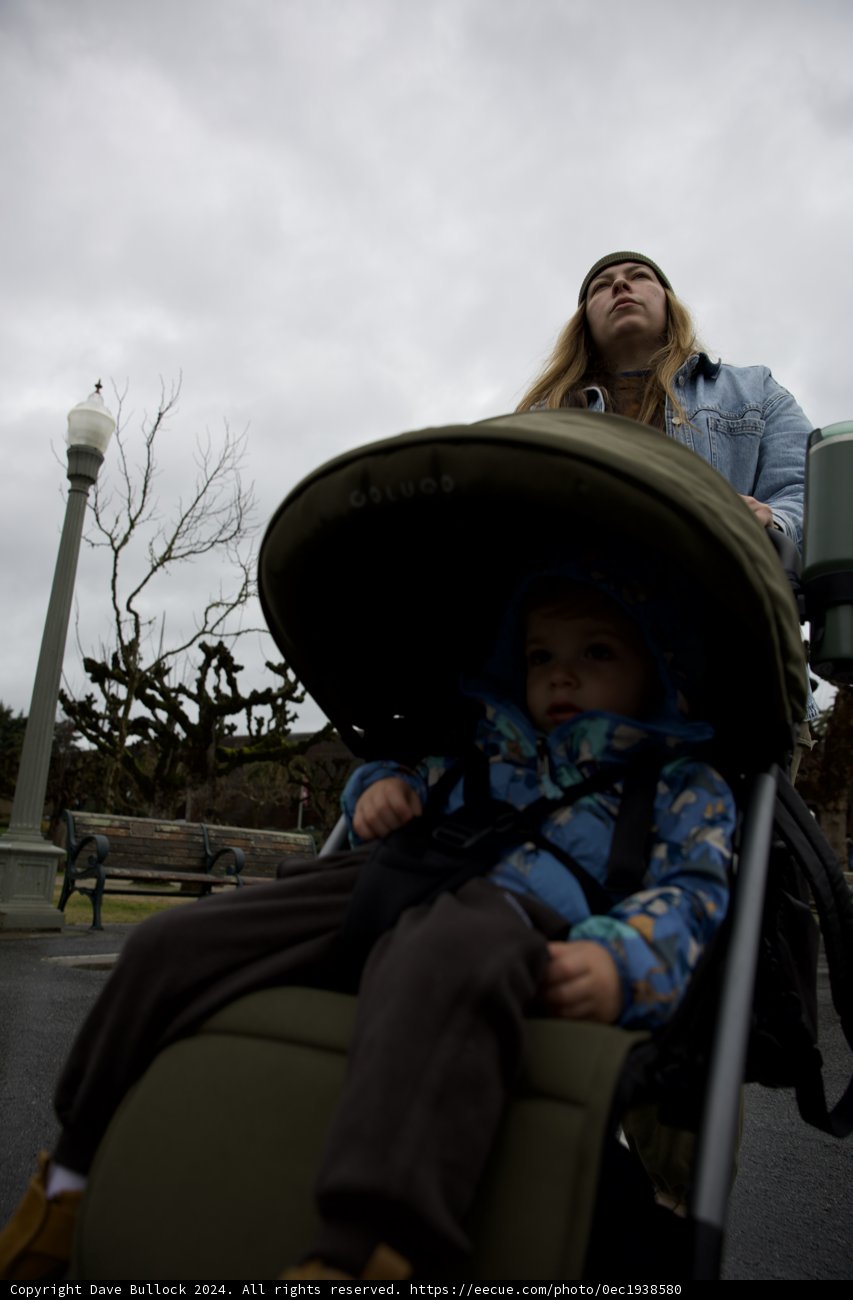 A Day at the Academy: Mother and Baby