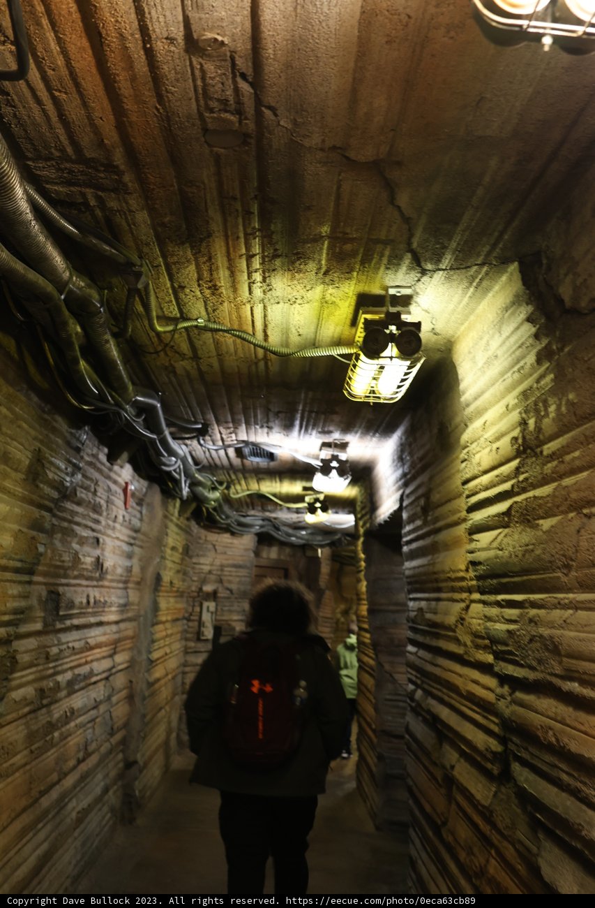 Journey through the Tunnel of Light