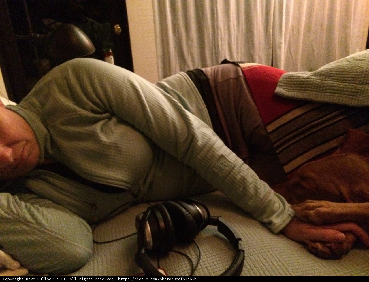 Sweet Dreams with Fido