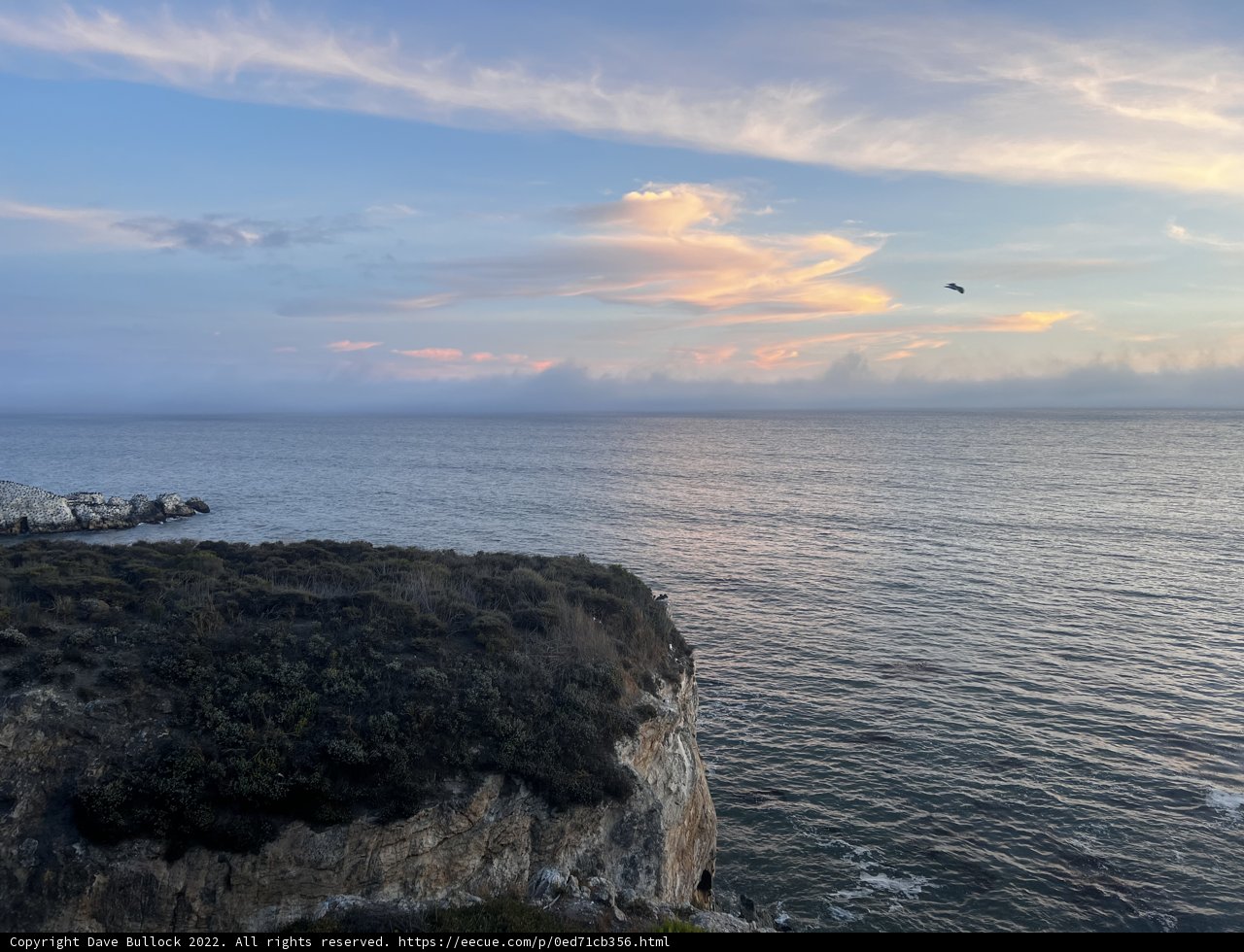 Soaring over the Promontory